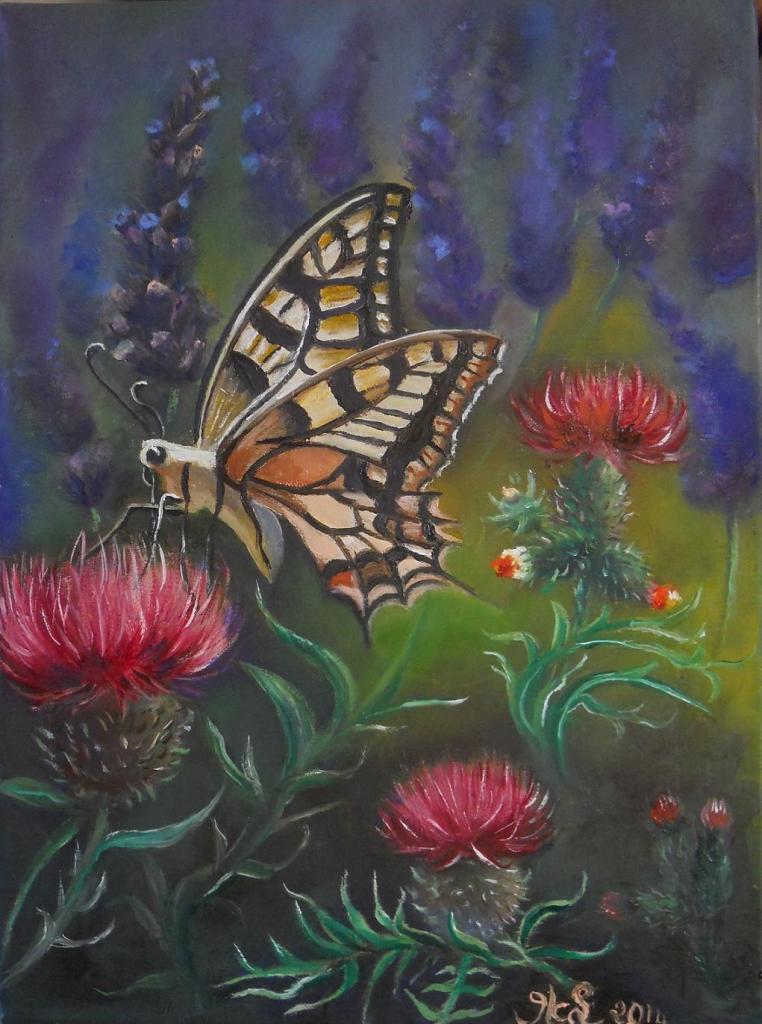 Papillon machaon (Collection privée)