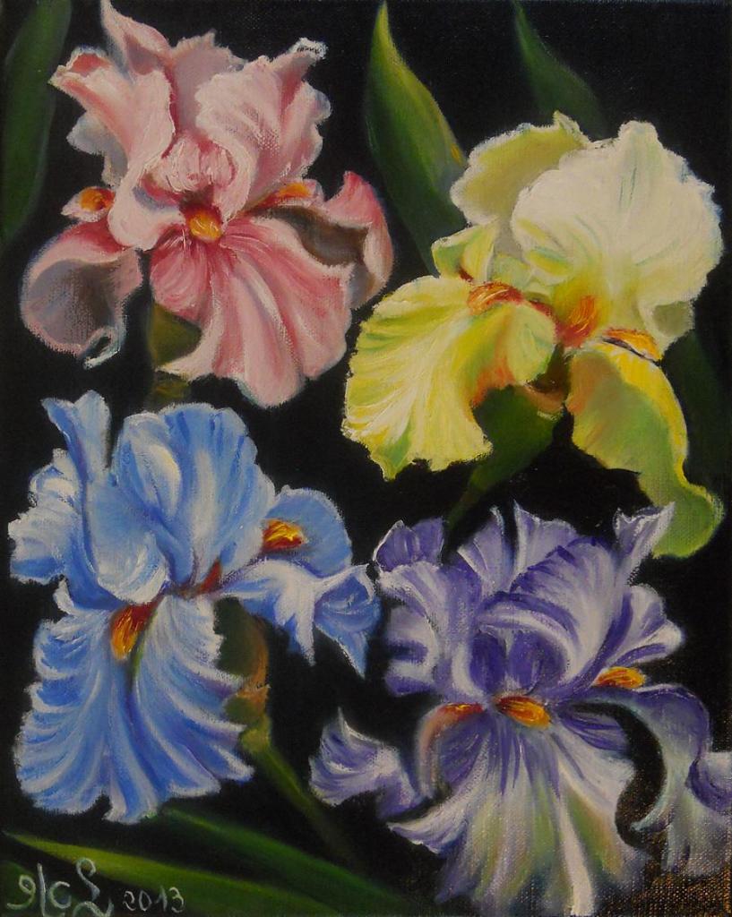 Iris pastels (VENDU)
